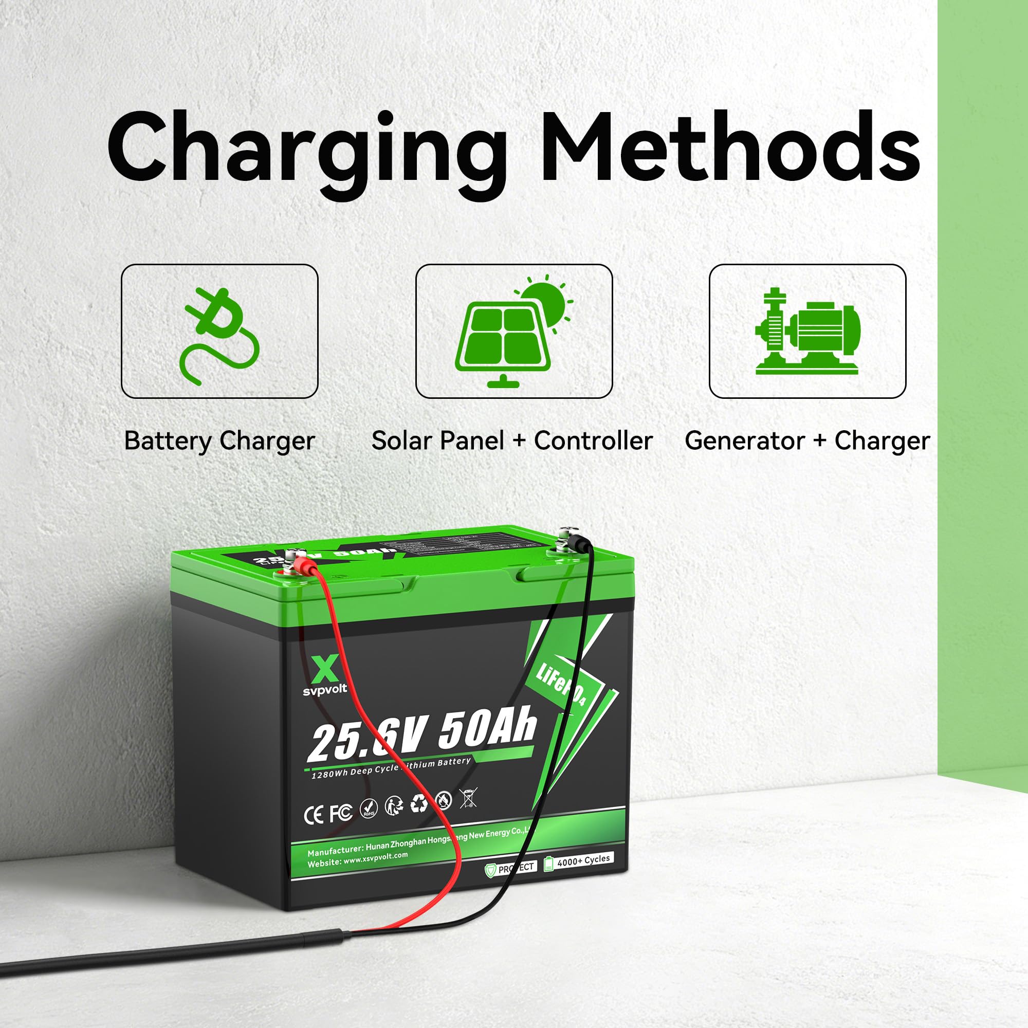 Batteria LiFePO4 24V 50Ah