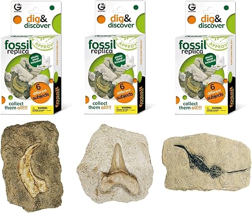 Geoworld Fossil Réplica Excavar y descubrir paquete, Blanco crudo