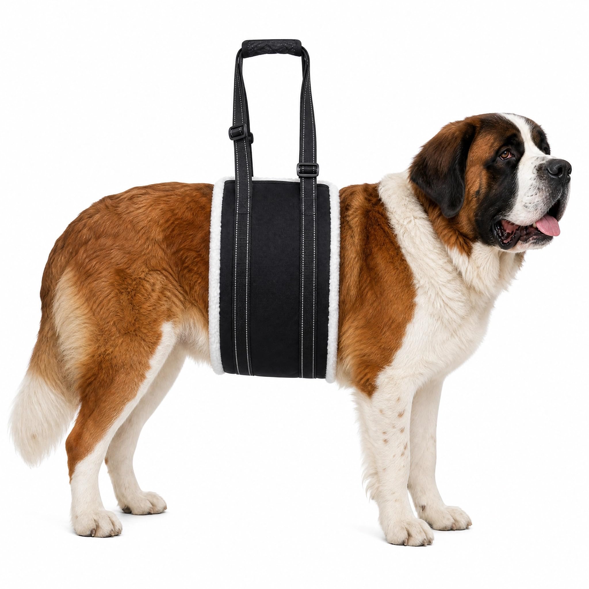 Jenck Dog Lifting Harness for X‑Large Dogs, Dog Sling for Hind Legs, Rear Leg Mobility Support Harness, Soft Assist Sling for Senior Disabled Injured Dogs, Hip & Joint Rehabilitation Aid