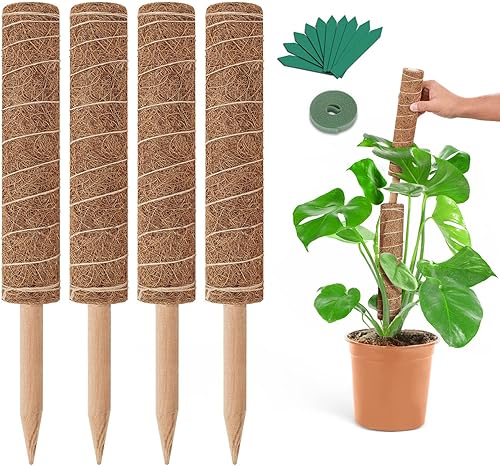 GROWNEER - Bastón de fibra de coco con 15 piezas, para plantas, palo de musgo de coco