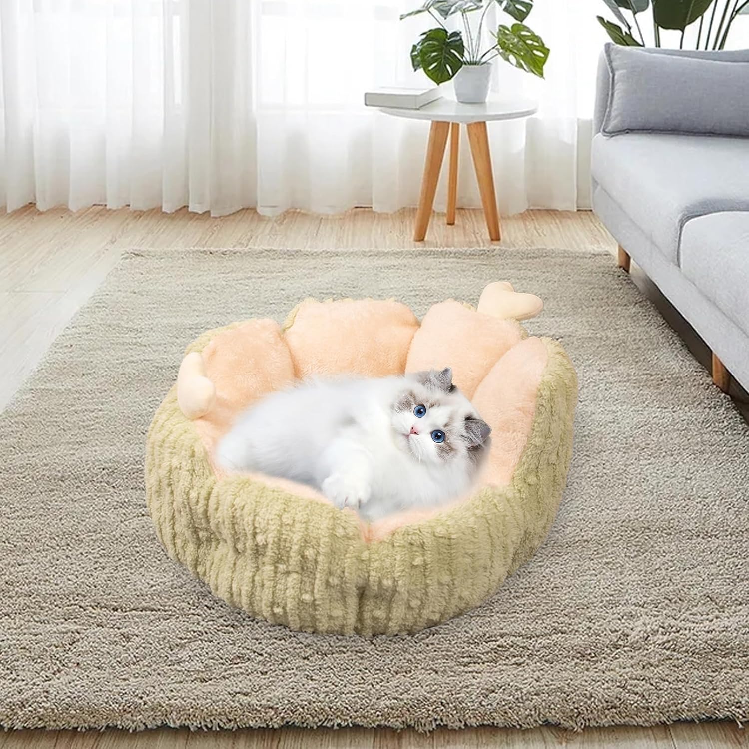 review Creative Dog Beds, Washable Kitten Sleeping Nest, Cactus Shaped Kitten House with Non Slip Bottom, Long Lasting Plush Cat Bed, Multipurpose Pet Sleeping Bed Suitable for Indoor Puppy and Kitten