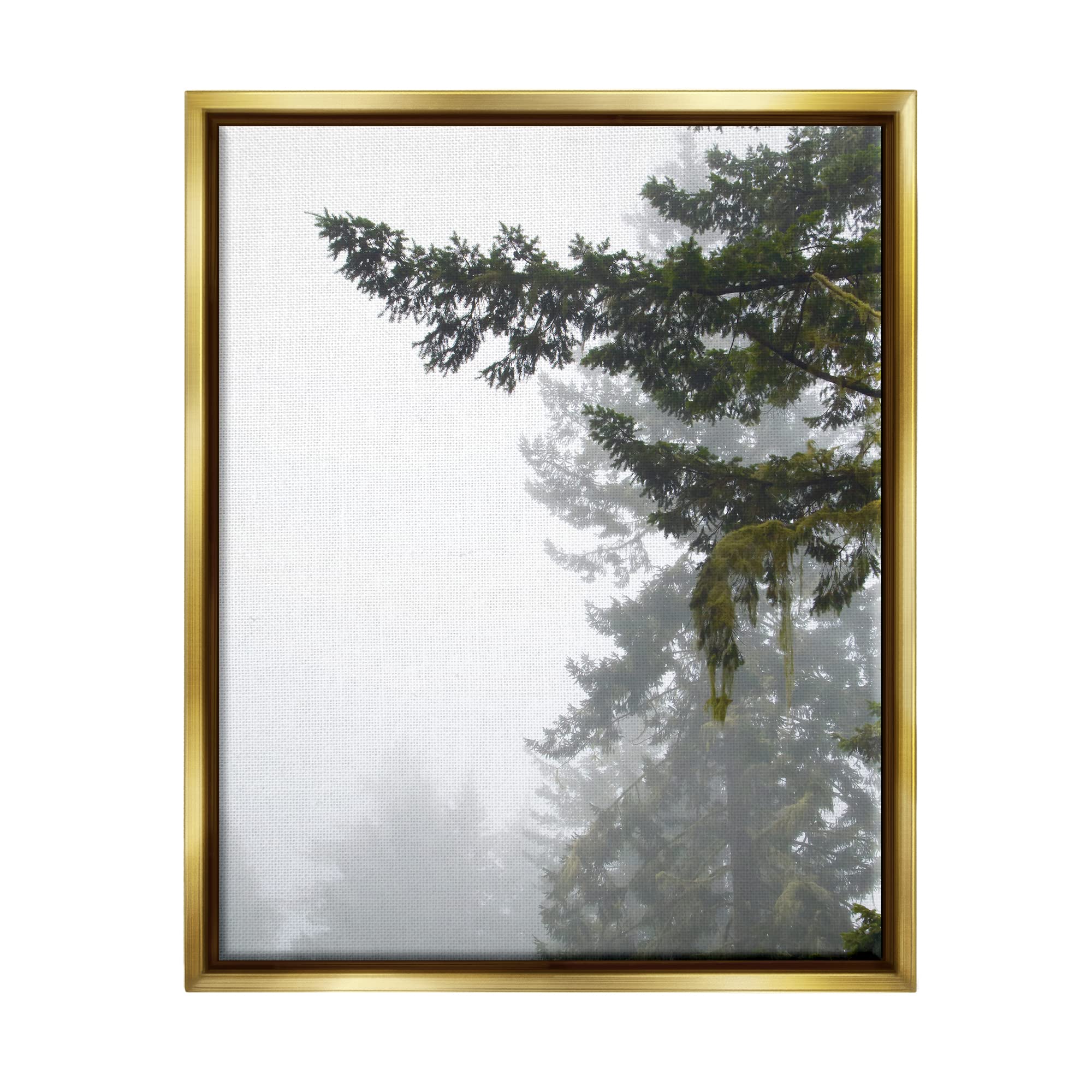 Stupell Industries Majestic Pine Tree Overhang Floating Framed Wall Art, Design by Debra Van Swearingen