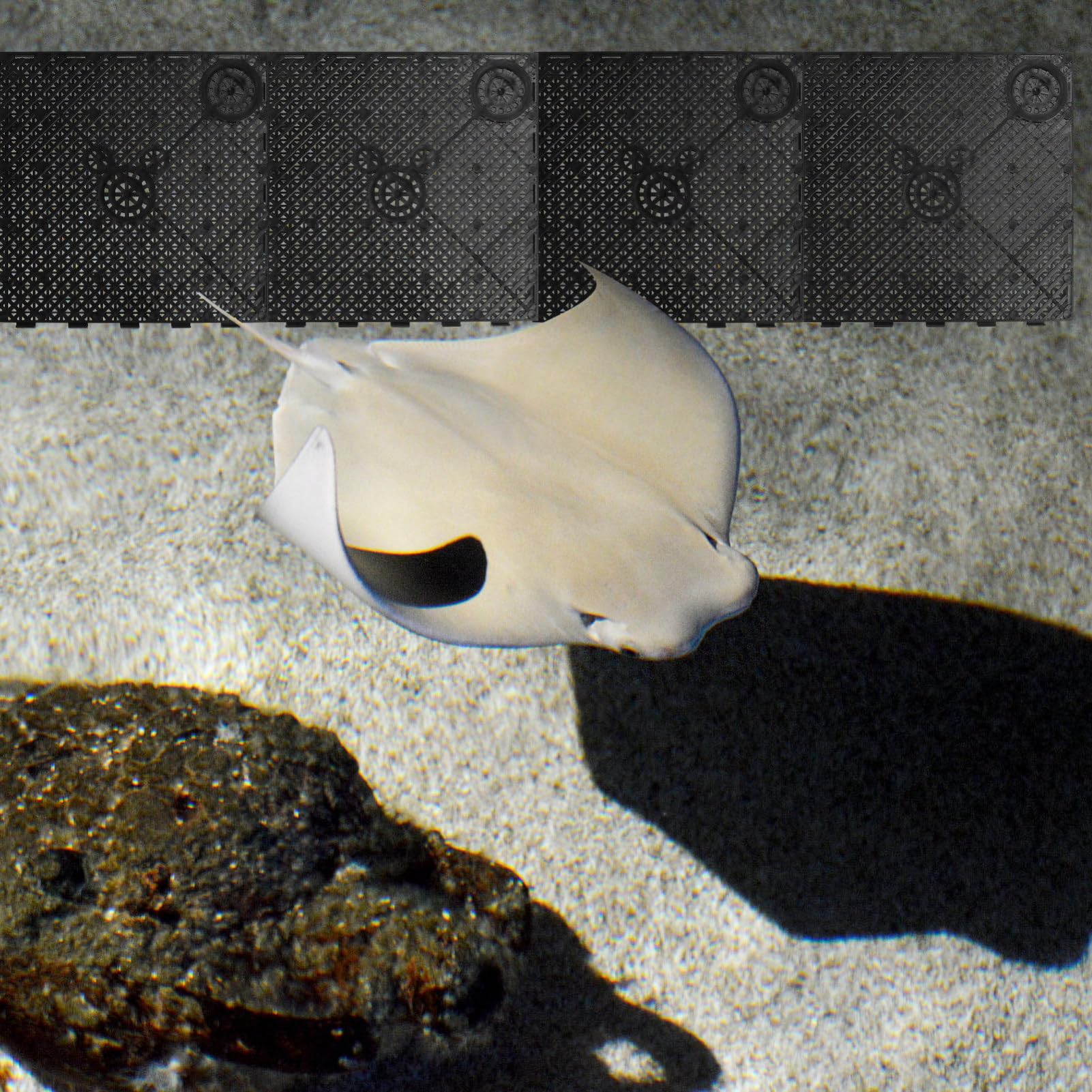 BESPORTBLE 20 Pezzi Piastra Filtrante in PVC per Fondo Acquario Dispositivo di Filtraggio per Fondo Acquario Vassoio Filtrante Giunzione e Filtrazione Installazione Semplice Flusso d Acqua