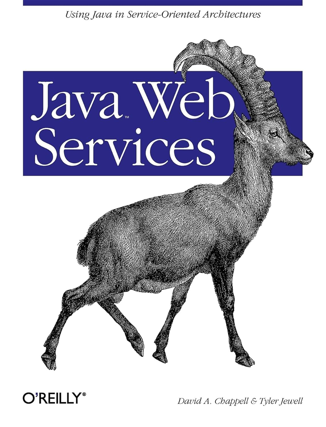 Java Web Services: Using Java in Service-Oriented Architectures: David ...
