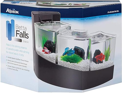 Aqueon Betta Falls - Acuario con cuentas Betta en blanco y negro azul y rosa