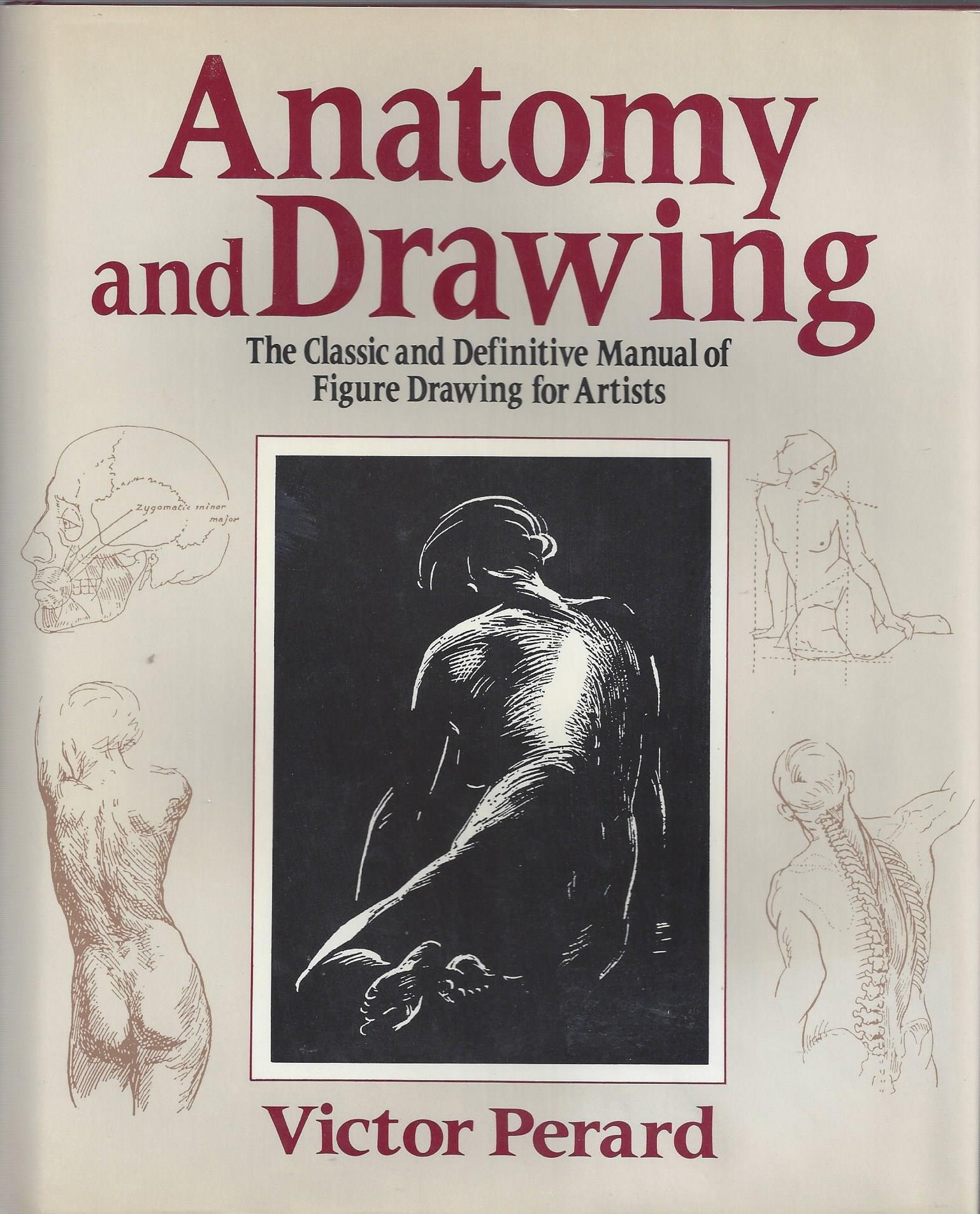 Buy Anatomy and Drawing — BookShops.in