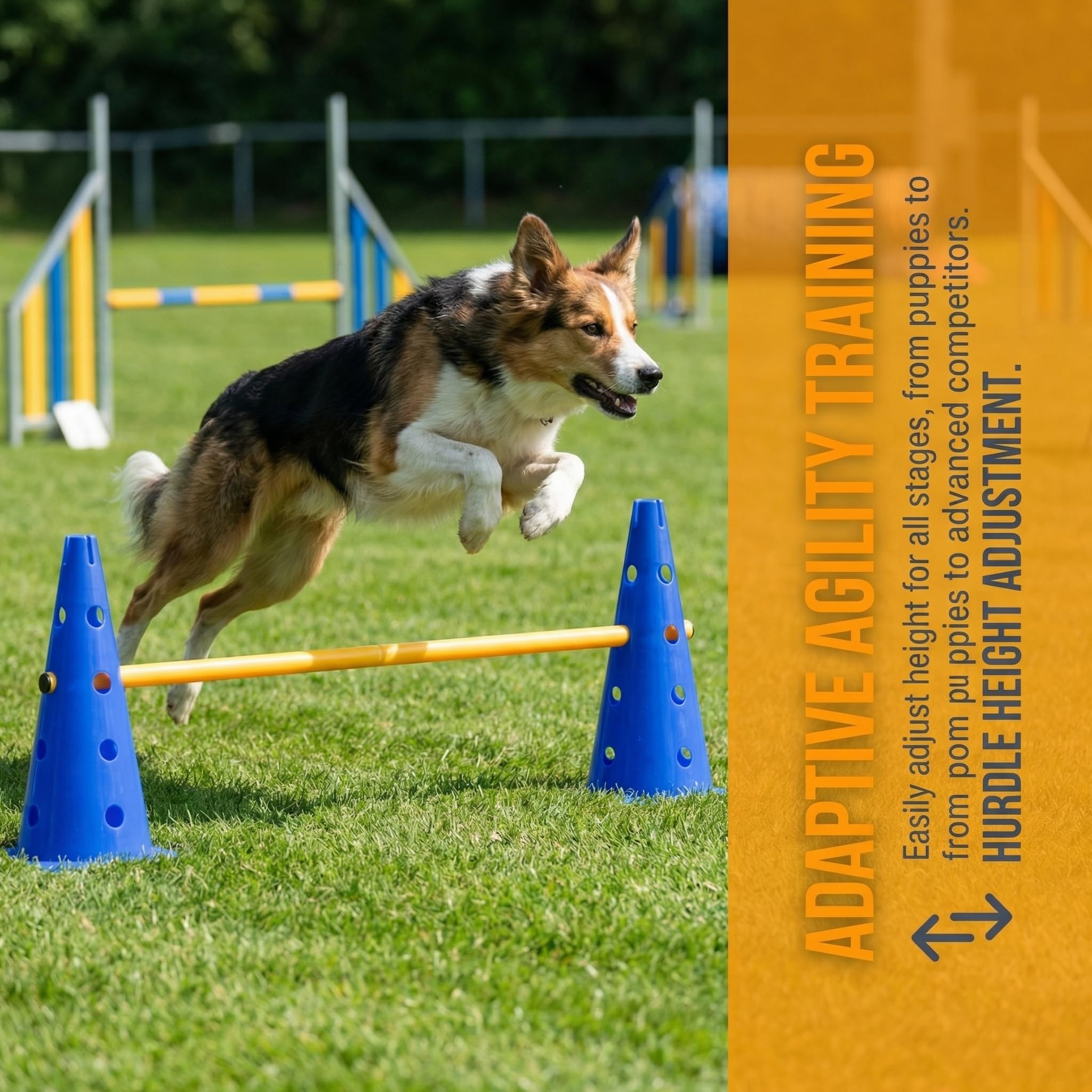 Agility Set Steckhürdenset für Hunde Hürden Cavaletti Hund Set 10 Kegel + 10 Stangen Hundetraining Zubehör zur Koordination & Fitness Hindernisse für Pferde Hundesport Fußball Erwachsene