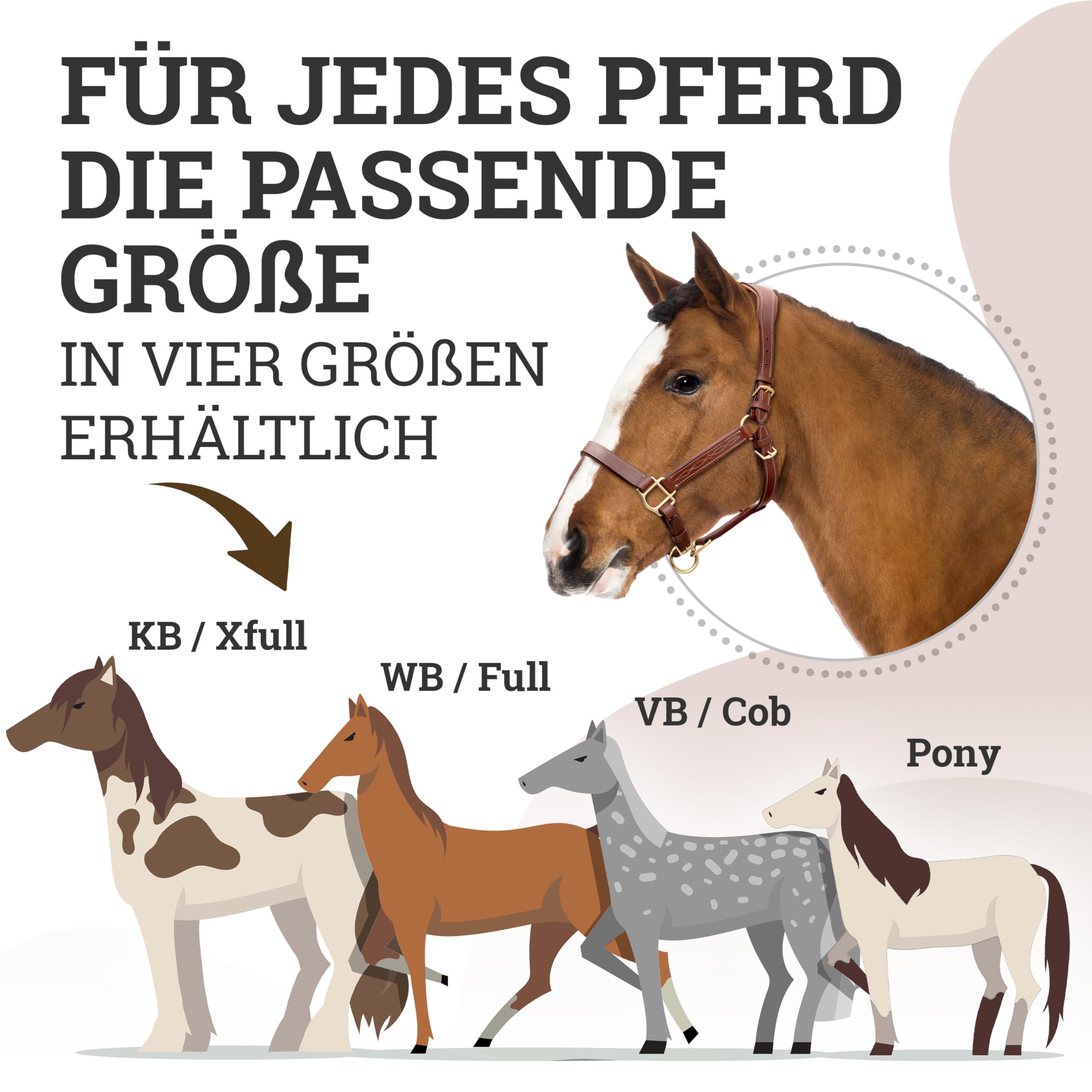 Esposita anatomisches Lederhalfter Deluxe Halfter aus Leder für Pferde Stallhalfter Pferdehalfter - Cronic Braun Pony