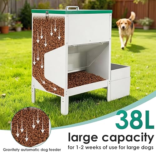 Miniatura 3 de Alimentador automático para perros de raza grande y dispensador automático de agua para perros grandes