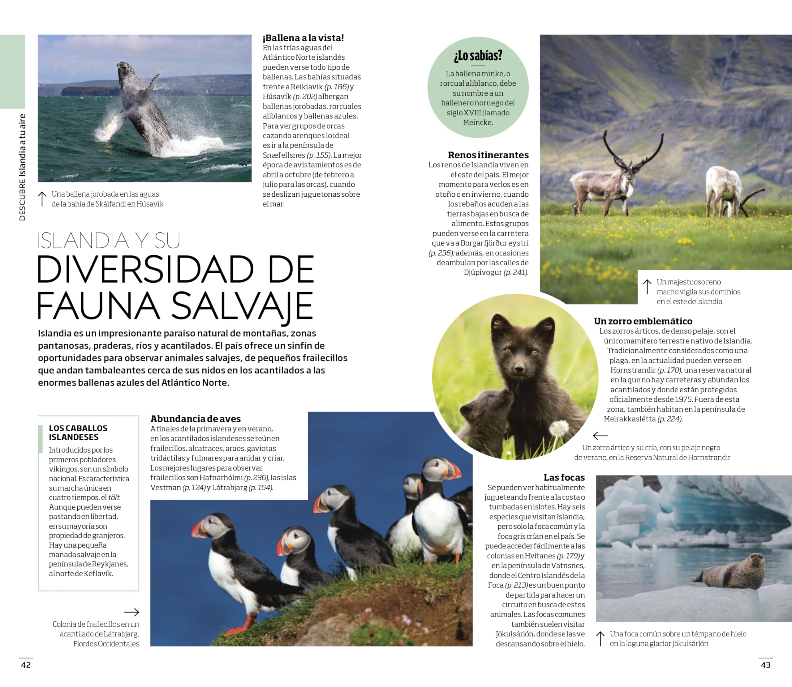 Islandia (Guías Visuales): Inspírate, planifica, descubre, explora (Guías de viaje)