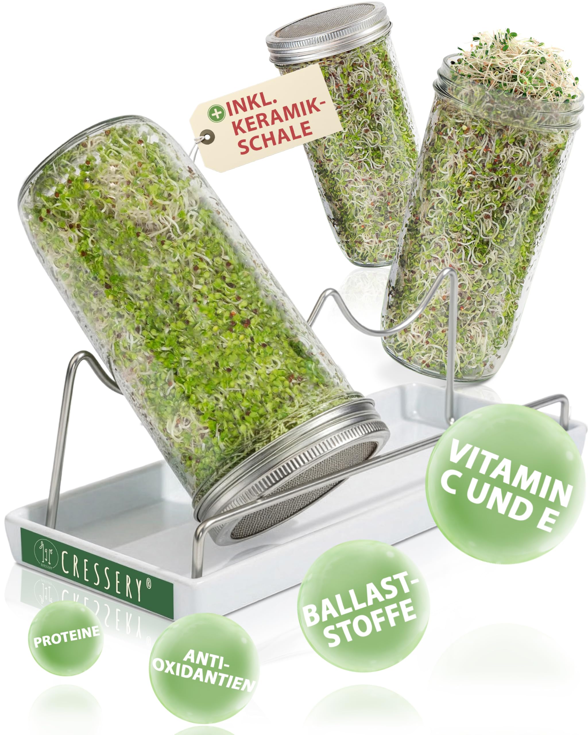 Grünes Keimglas 3er Set mit Deckel & Sieb aus Edelstahl für Sprossenzucht | Keimglas Sprossen | Sprossen Keimgerät  
Wei