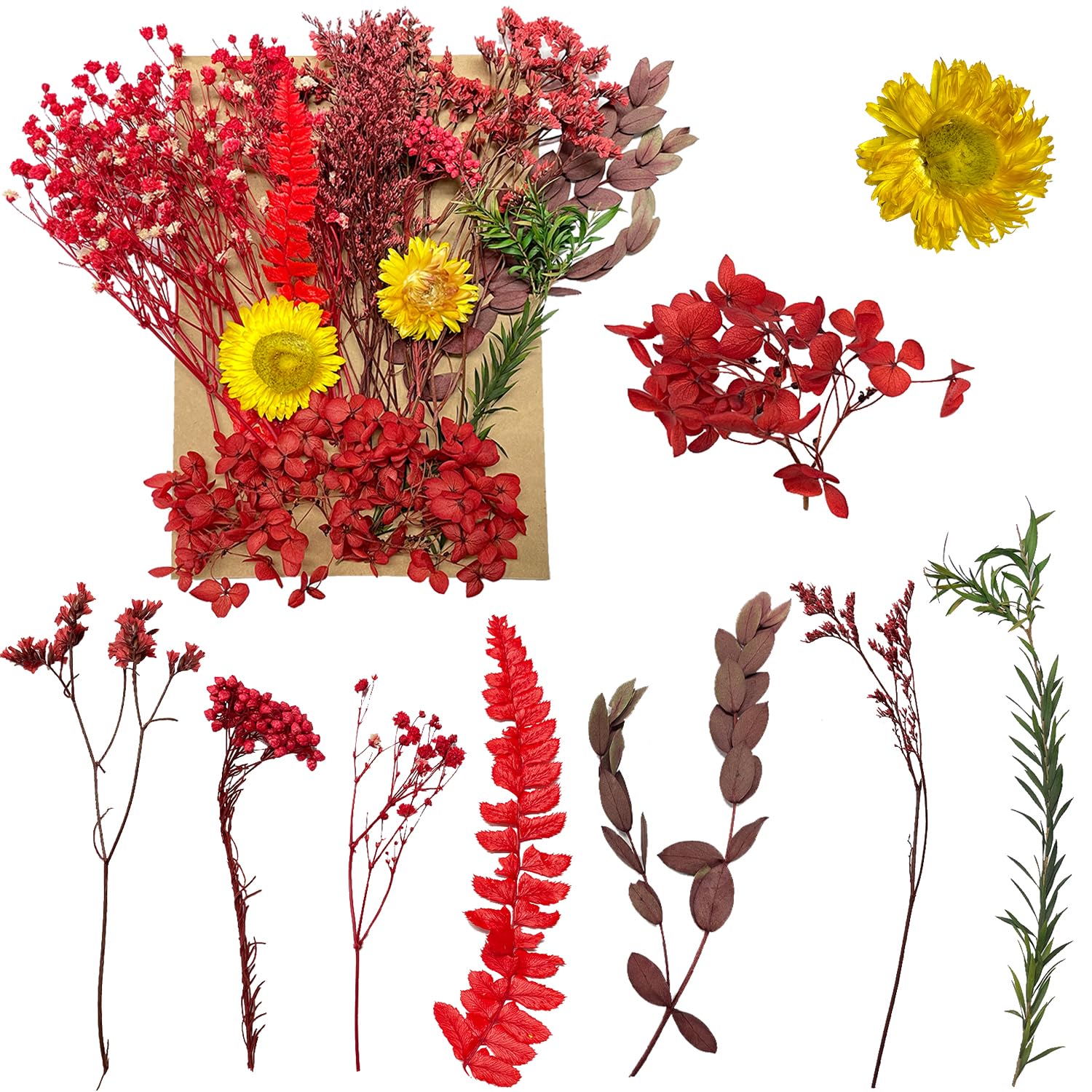 Fiori Secchi Naturali Per Artigianato - Set Decorativo Per Resina, Scrapbooking E Gioielli - Foto 12