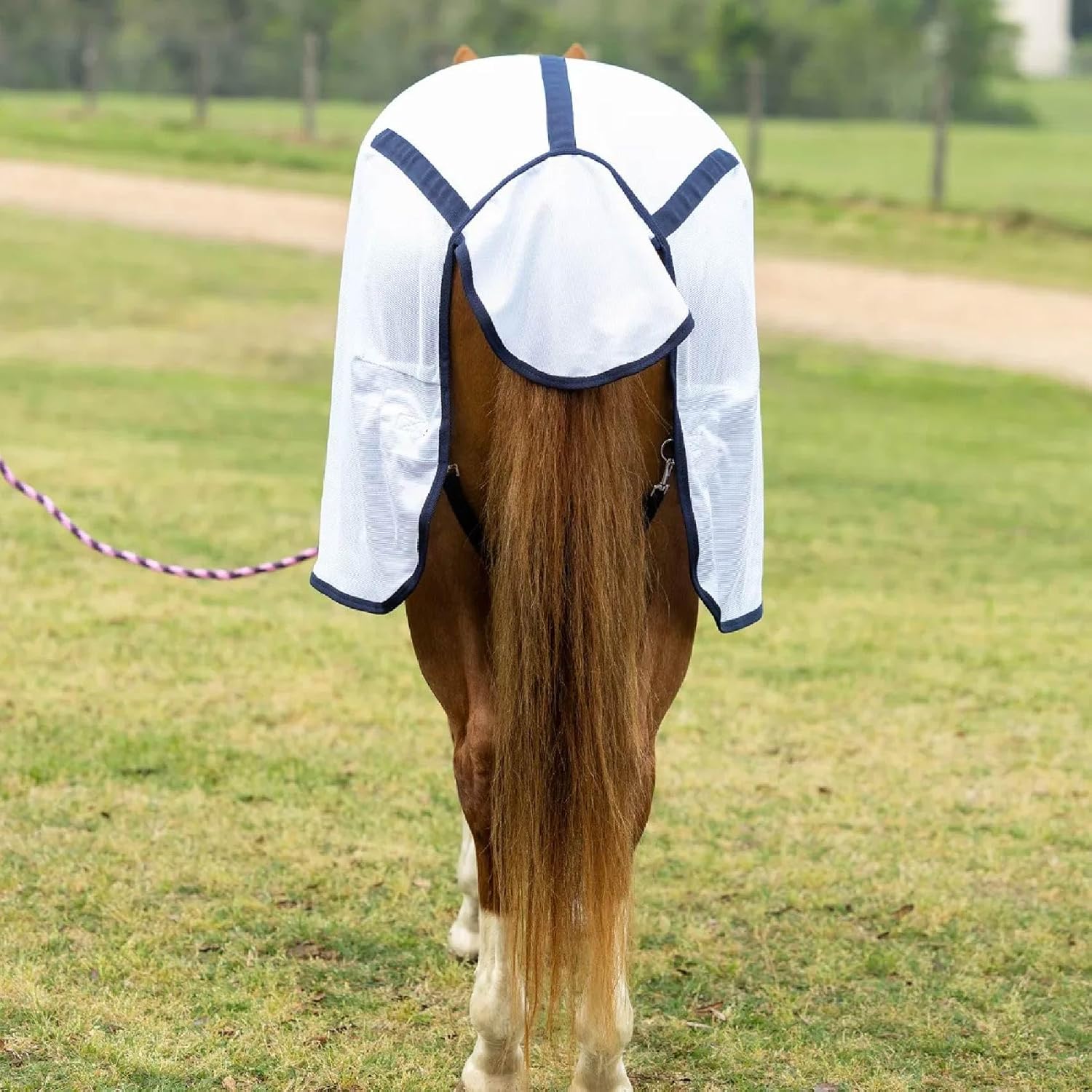 Reinsman Fly Sheet - Lightweight Breathable Ventilated Non-Slip Standard Neck Summer Mesh Sheet for Horses, White - 81"