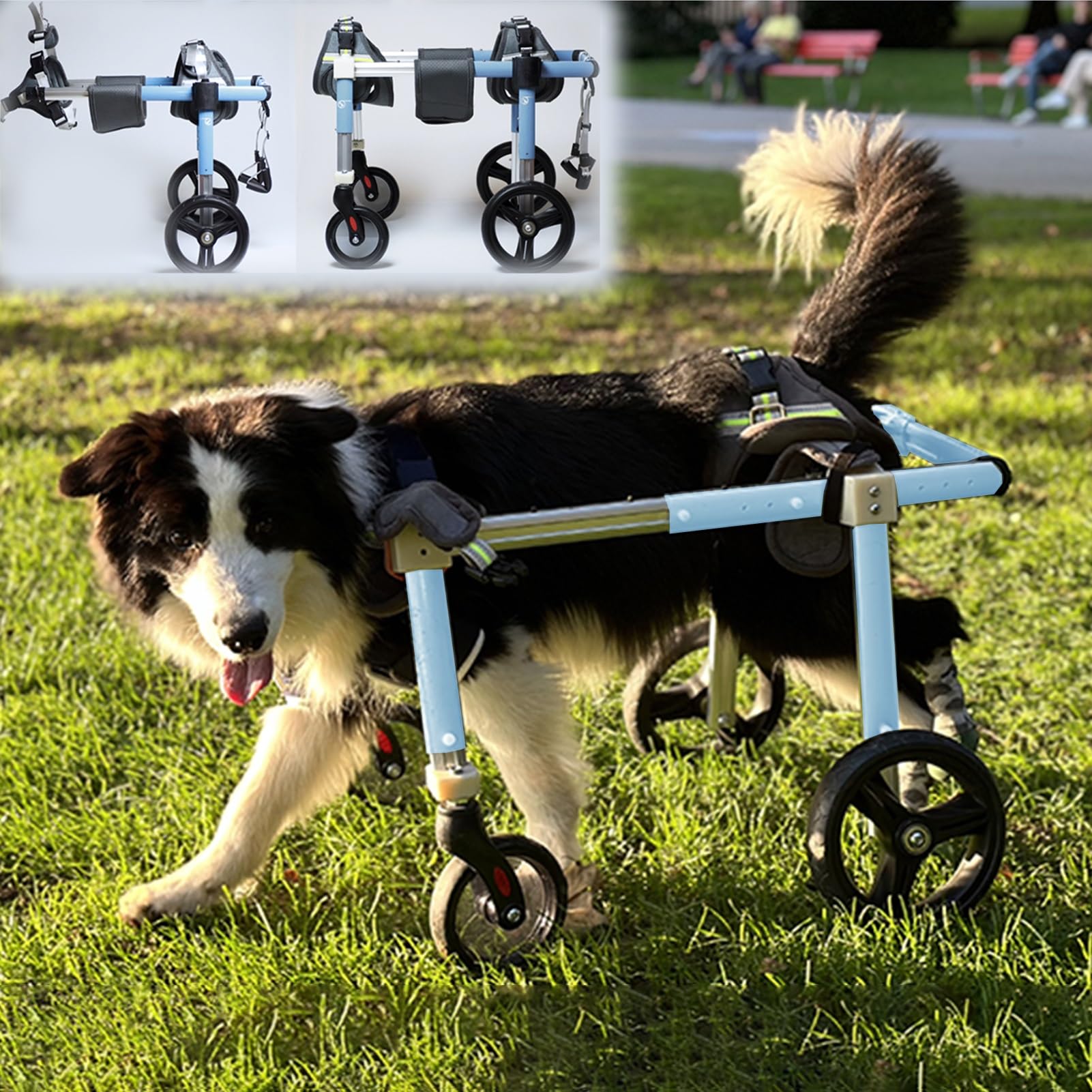 Silla de ruedas para perros grandes con movilidad reducida en patas traseras ajustable XL