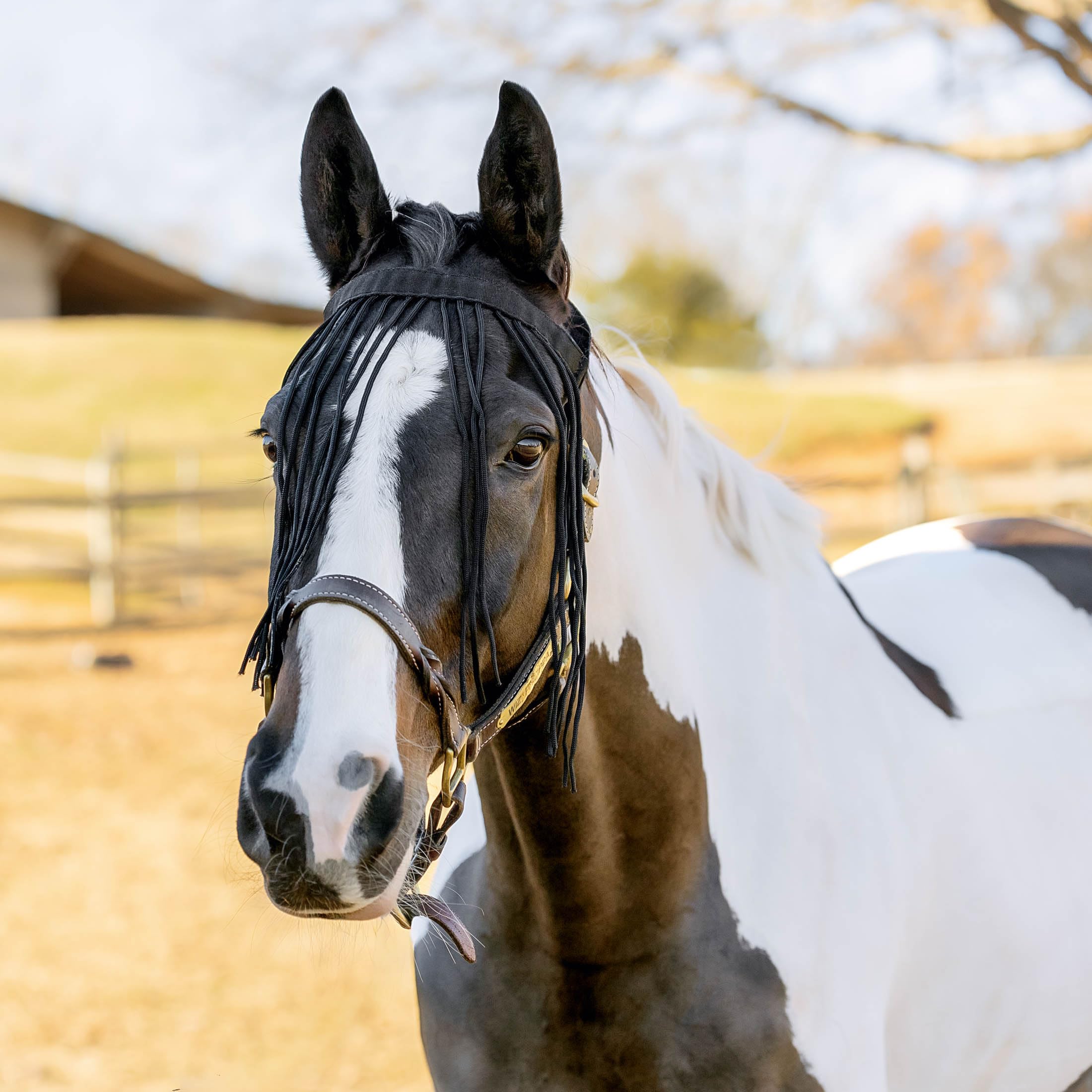 Horze Pferde Fliegenfransen, Insektenschutz für Pferd und Pony