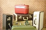 Genuine Fred, Wander Ware - Luggage TAG, Tripping - Art by Wayne White, Travel Luggage tag with Name & Information ID Card, 2.75" x 4.7", Assorted