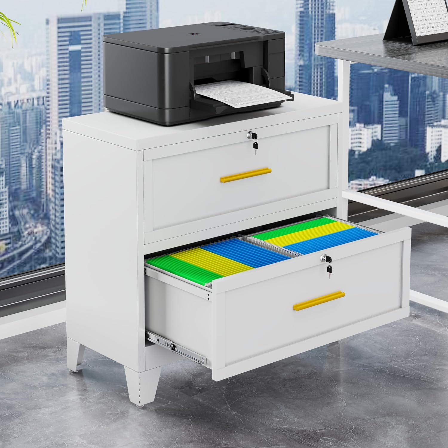 GAIOUS 2 Drawer File Cabinet with Lock, Metal Lateral Filing Storage Cabinet for Office Home, Steel Vertical File Cabinets for Letter A4 Size, White Under Desk File Drawer, Assembly Required