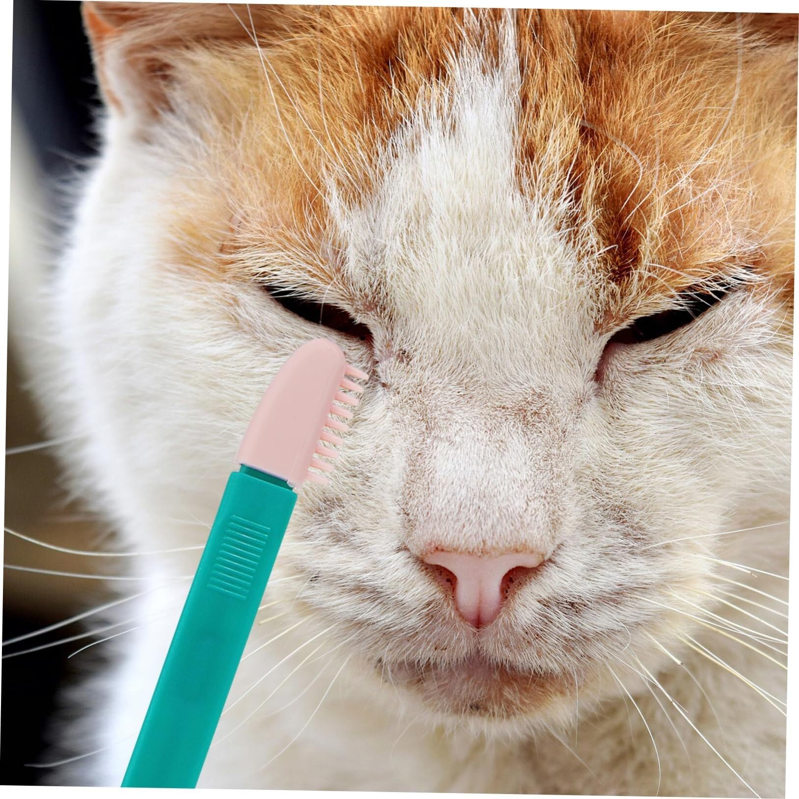 POLGDW Lot de 4 mini brosses nettoyantes for les yeux et les gencives des chiens, brosse for poils d'animaux, poils d'animaux, chat, chien, nettoyant for les yeux, dissolvant de taches buccales, peign