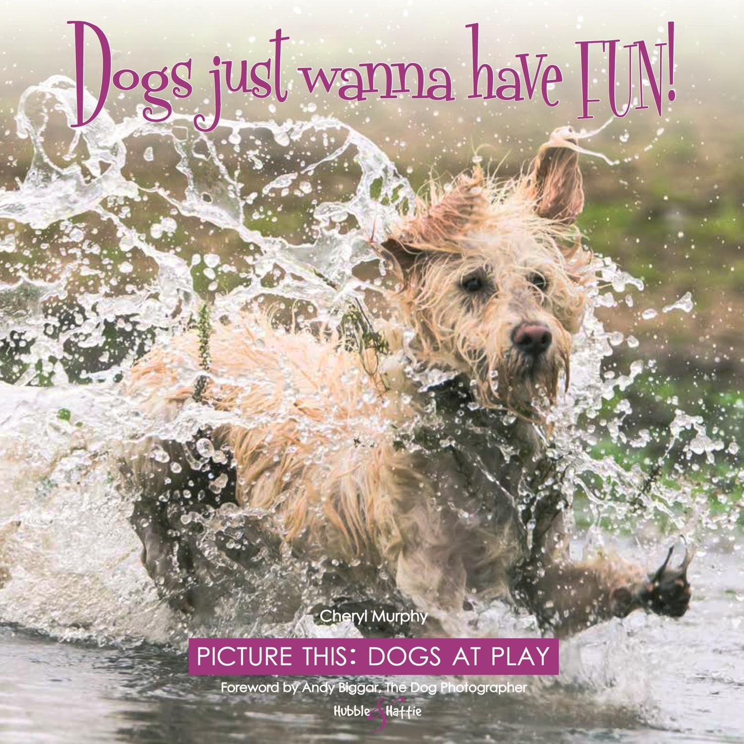 Dogs just wanna have FUN!: Picture this: Dogs at Play - Murphy, Cheryl