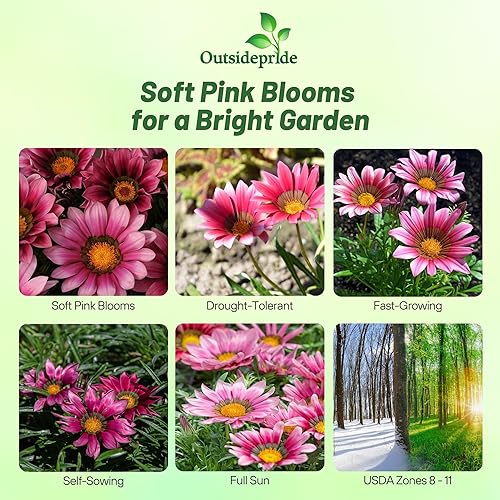 Miniatura 2 de Outsidepride New Day Pink Gazania Semillas para plantar  50 piezas de semillas perennes, de bajo mantenimiento, tolerantes a la sequía para flores