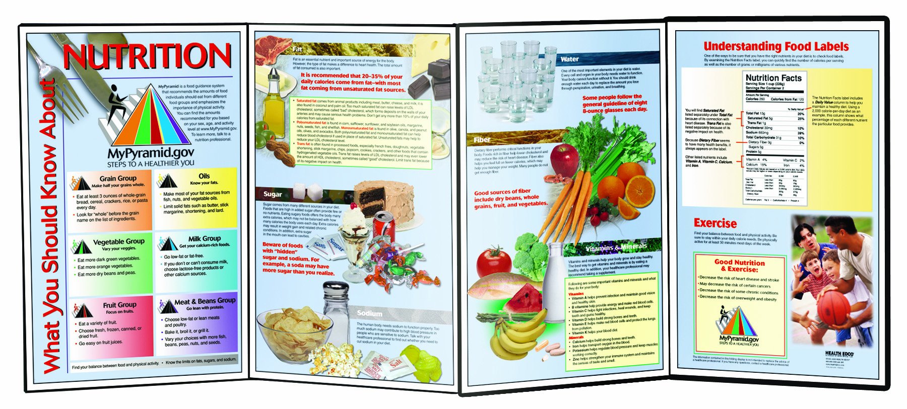 Amazon.com: HEALTH EDCO W43060 What You Should Know About Nutrition, 58"  Length x 22" Height Opened : Toys & Games