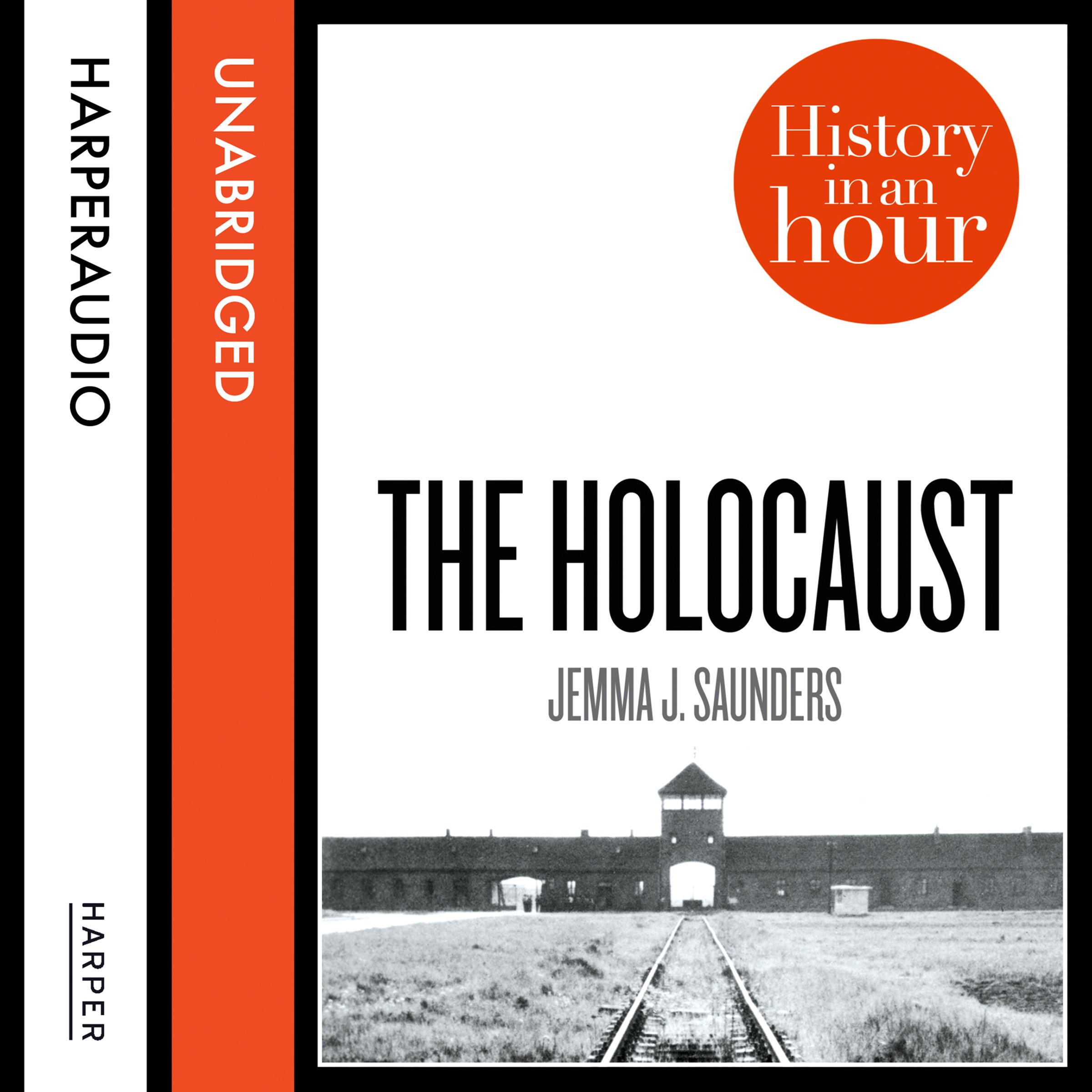 The Holocaust: History in an Hour