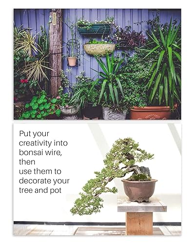 Miniatura 6 de 5Pcs Bonsai Wire and Bonsai Tool Kit, Total 164 Feet Bonsai Tree Wire for Bonzai Trees Indoor, 3 Size of 1-mm, 1.5-mm, 2-mm Aluminum
