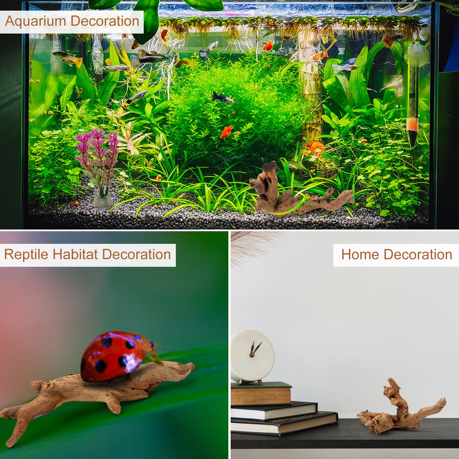 6 pezzi piccoli legni naturali e piante acquatiche simulate per acquari, legni naturali e rami, legno per acquari, decorazione di rami per bacini rettili, terrario (10-15 cm)