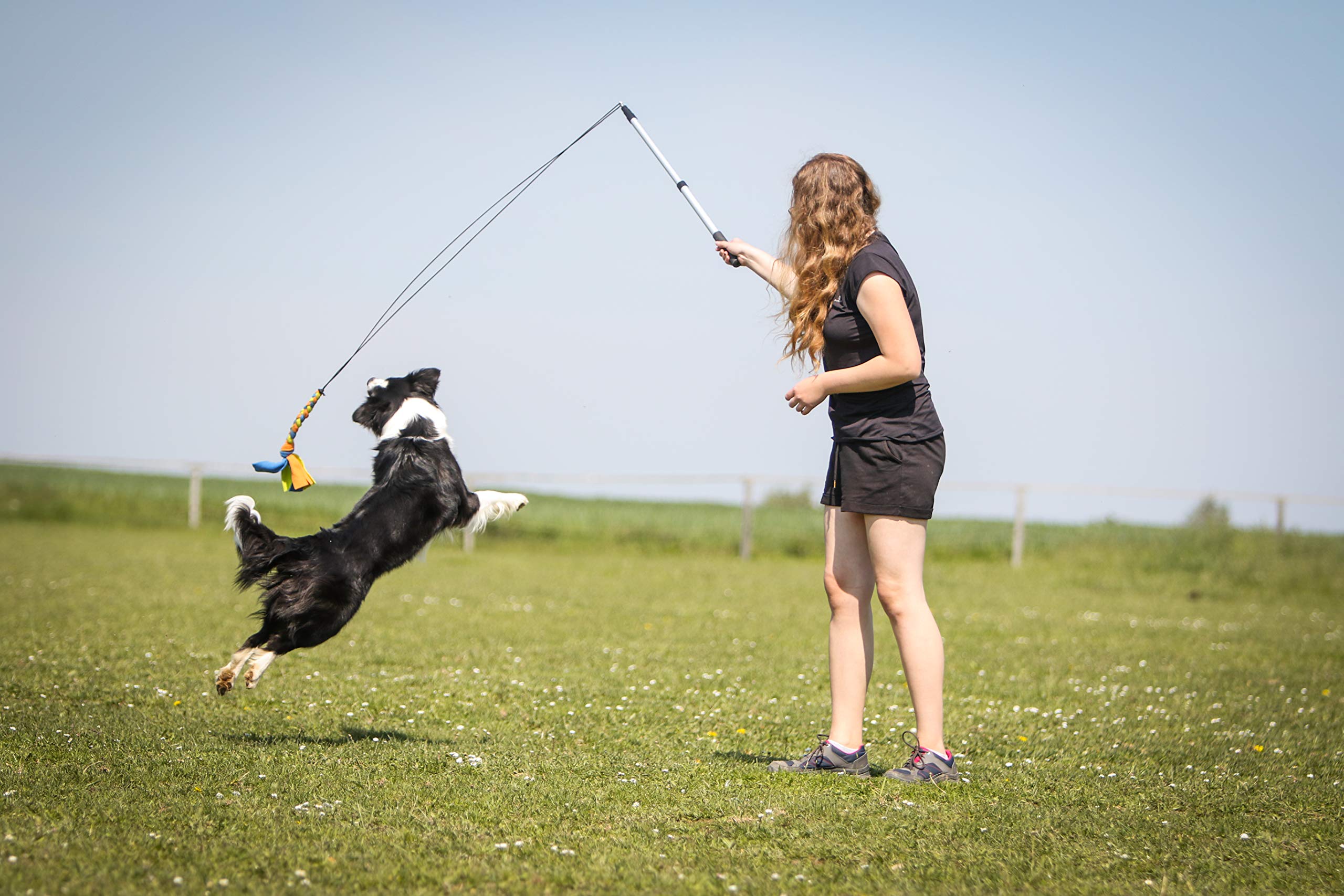 Poste de coqueteo para Perros con cordón no elástico Seguro y Fuerte, señuelo telescópico para Perros de Cualquier tamaño, Juguete para Perros para Entrenamiento y Ejercicio de Yes4Quality