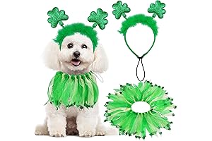 Luck of the Irish: Festive Dog Outfit for St. Patrick's Shenanigans