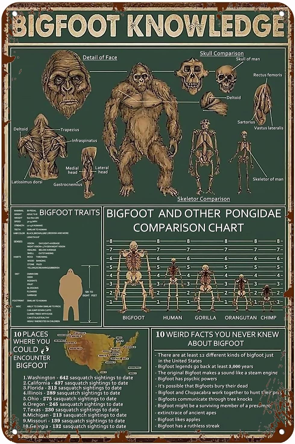 amazon-xiddxu-vintage-tin-sign-metal-plaque-bigfoot-knowledge
