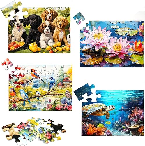 Paquete de 4 rompecabezas de piezas grandes de 16 y 35 para personas mayores, productos de demencia para ancianos, actividades de Alzheimer para