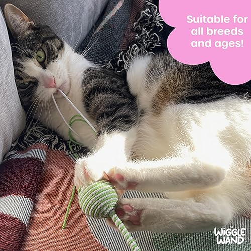 Miniatura 6 de The Wiggle Wand Juguete para gatos, varita natural para todos los sentidos del gato, fabricado en colores que los gatos realmente pueden ver,