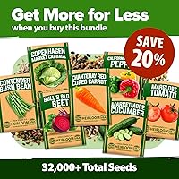 Vista 39 de HOME GROWN Más de 1000 semillas de cilantro para plantar en interiores o exteriores, hierbas tradicionales sin OMG, semillas de plantas de cilantro