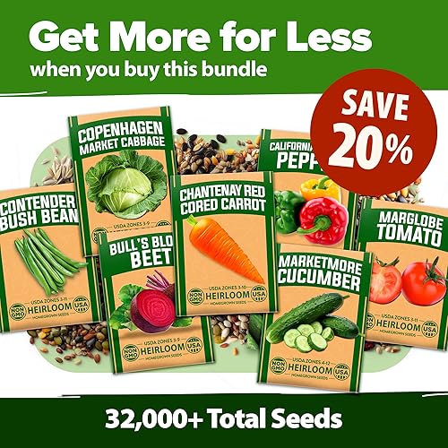 Miniatura 39 de HOME GROWN Más de 1000 semillas de cilantro para plantar en interiores o exteriores, hierbas tradicionales sin OMG, semillas de plantas de cilantro