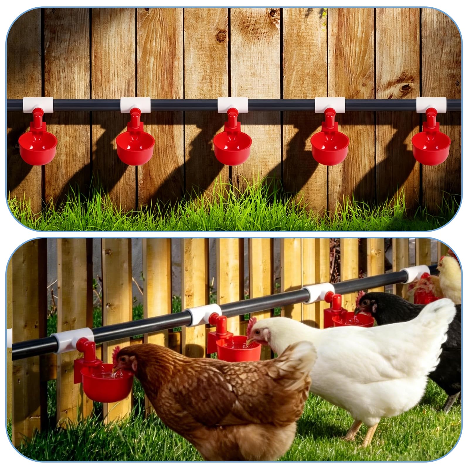 Bebedero AutomáTico para Pollos, Bebedero para Pollos de PVC ccon Piezas en T y Tubo de PVC, Regulador de PresióN para El Agua de AlimentacióN de Aves de Corral
