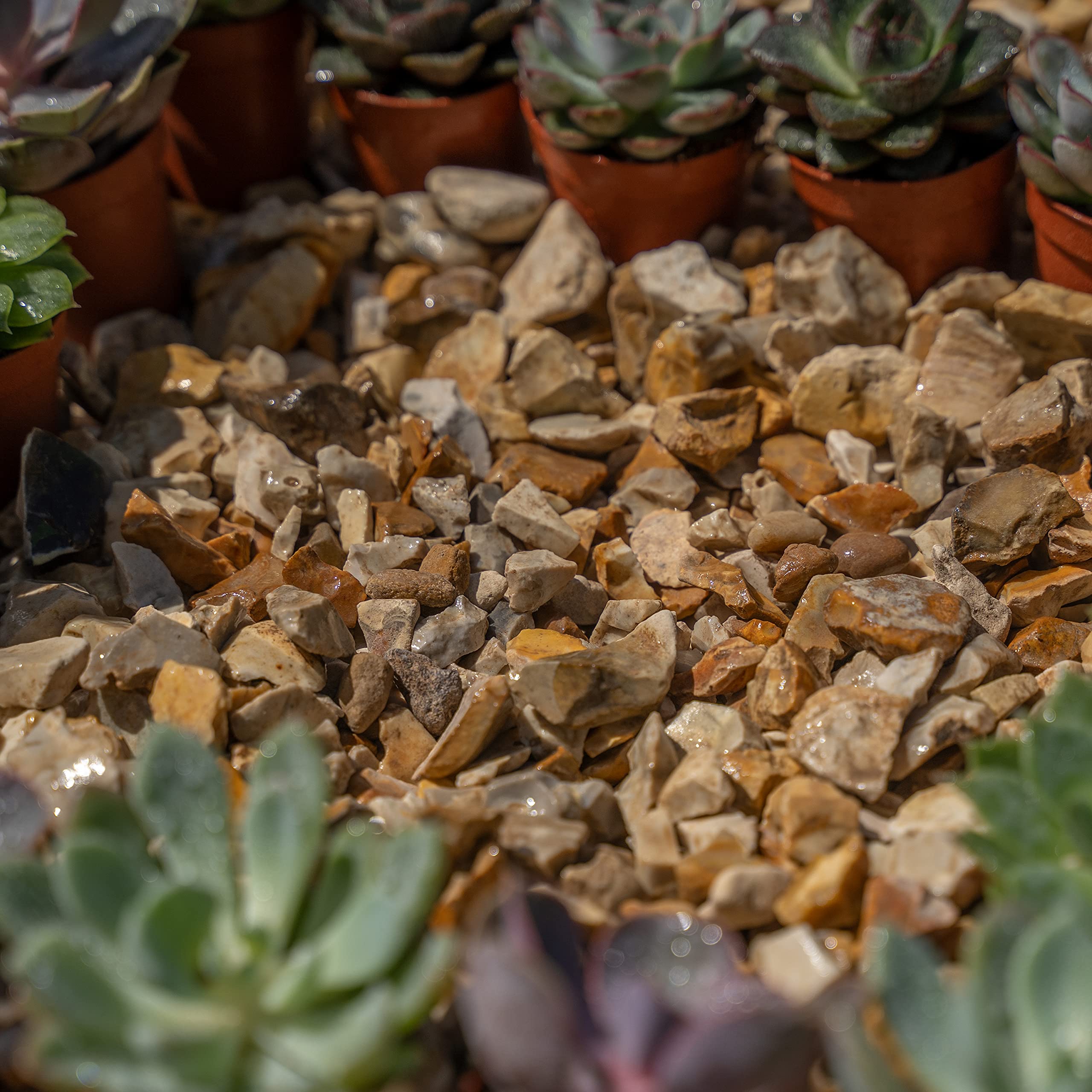 Piedra de grava de 5 kg para evitar malas hierbas, jardín, patio, camino, planta, topping – Otoño oro astillado