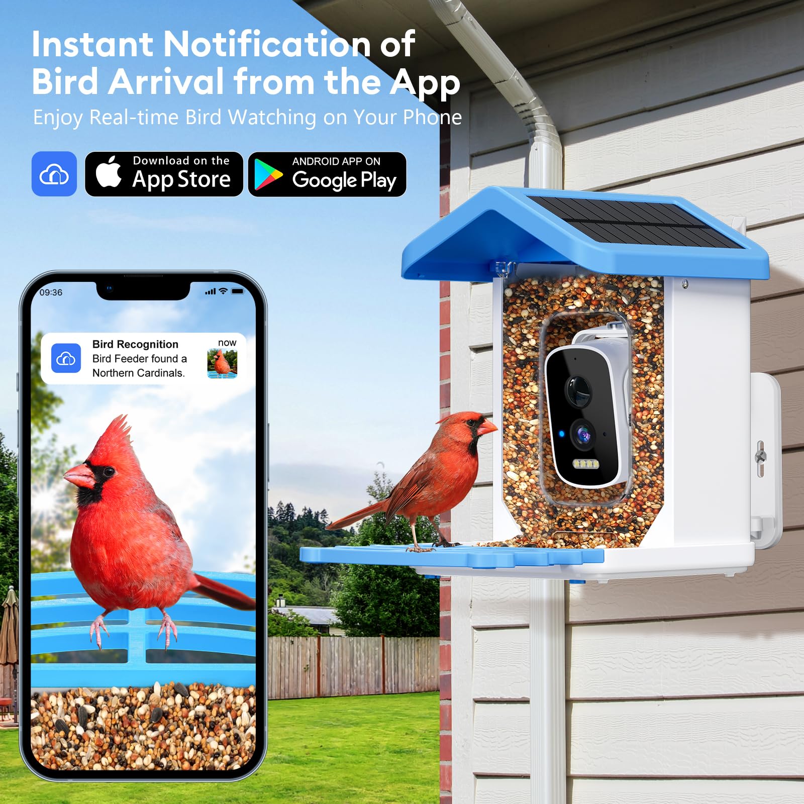 Smart Bird Feeder mit Kamera, AI Vogelarten Identifizierung Solarbetriebenes Panel, 2.5k HD Video Vogelhaus mit Kamera für Außengarten, Ideale Geschenke für Liebhaber, Blau