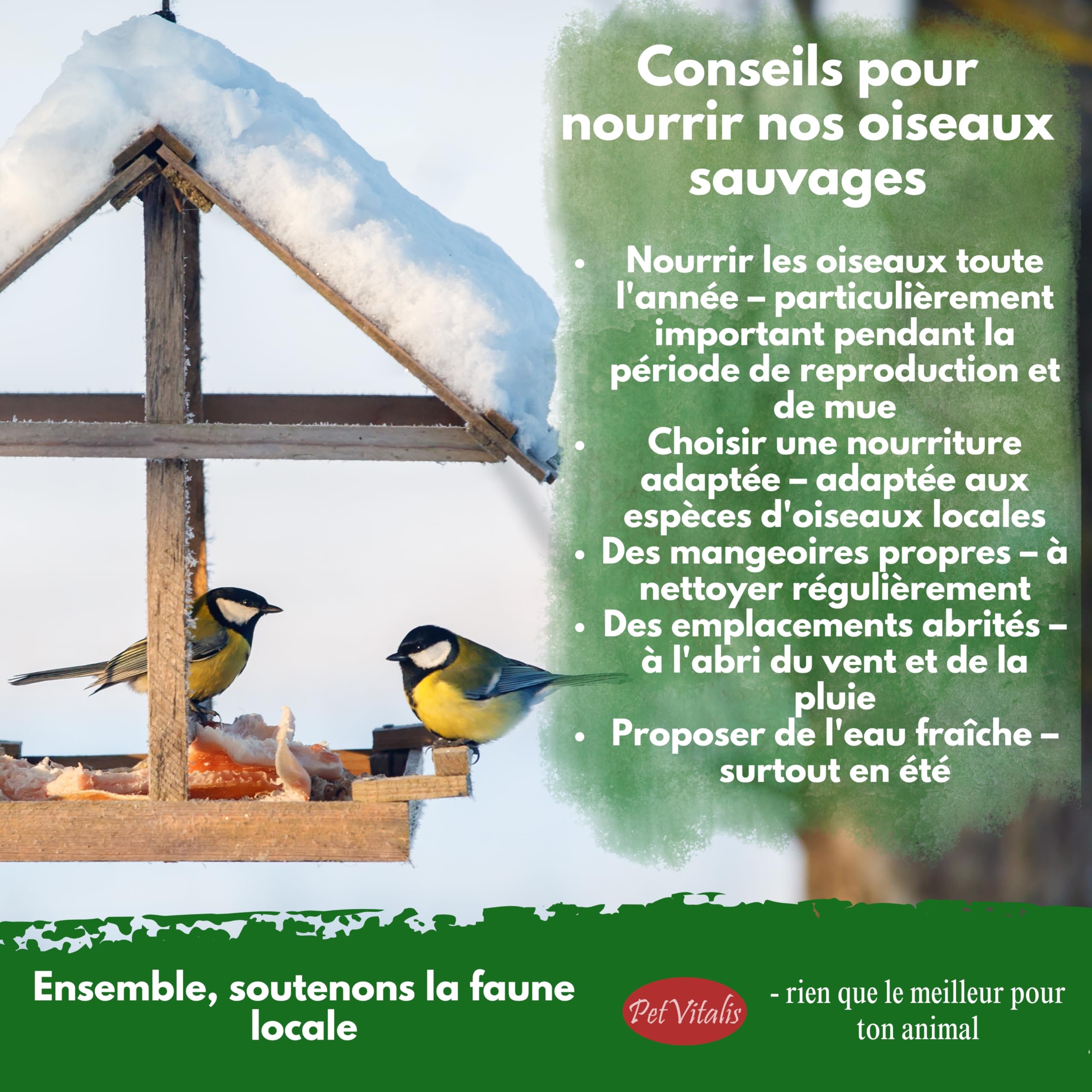 vers de Farine séchés – Aliment Complet Haut de Gamme pour Oiseaux Sauvages, complément à la Nourriture pour Oiseaux – en-Cas Riche en protéines pour Poissons, Reptiles et rongeurs (5 kg)
