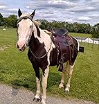 Review Image by Lisa D Lisa D