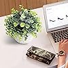 Product Photo 4