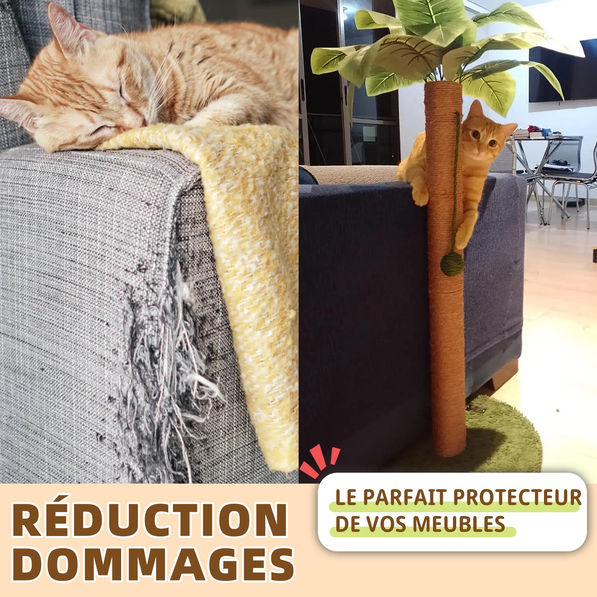Meowoou Griffoir pour Chat, 84 cm Mignon Grattoir avec Corde Sisal d'Intérieur Palmier avec Balles Suspendues pour Petit, Moyen ou Grand Chat
