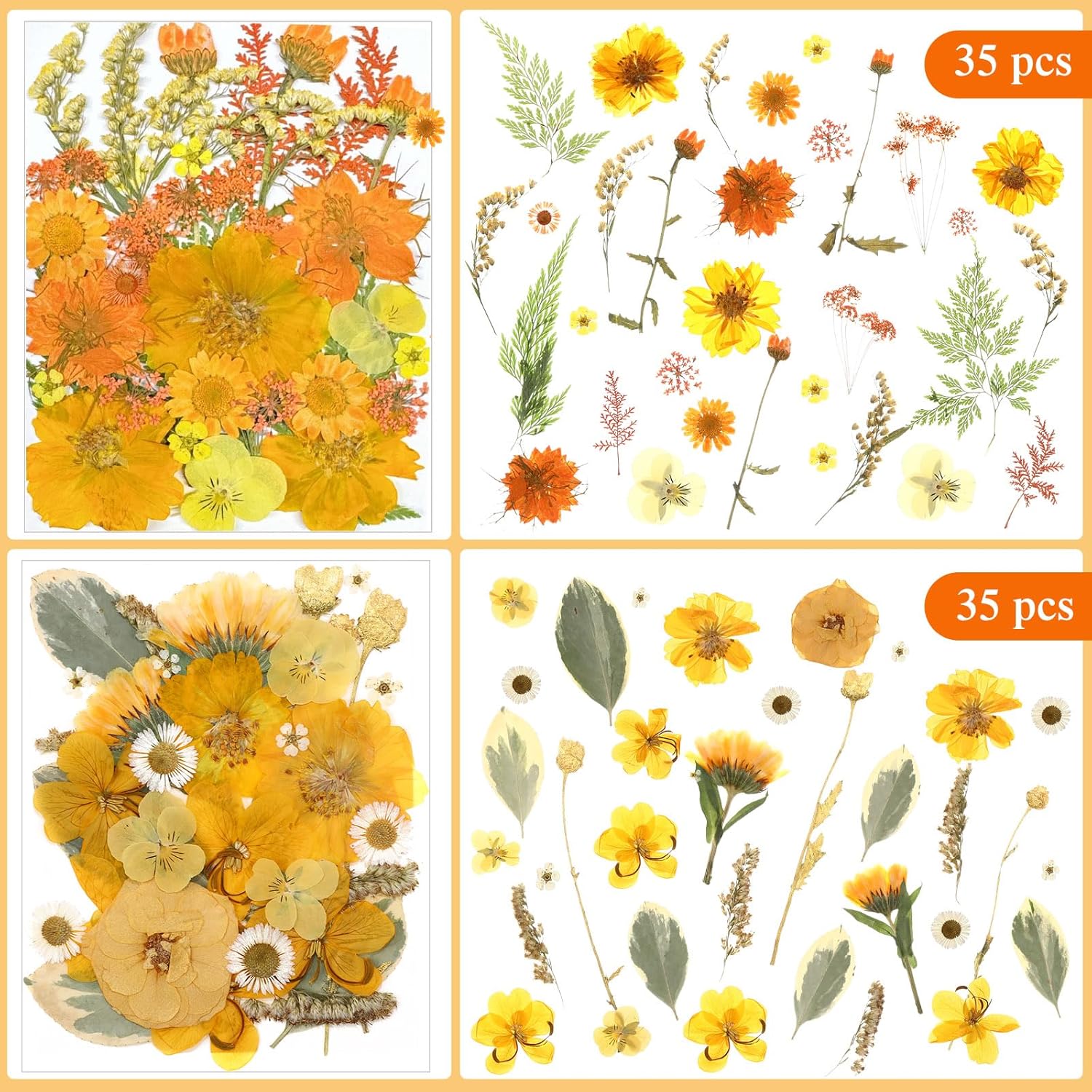 Nuanchu 167 Pcs Real Dried Pressed Flowers Natural Dried Flowers Colorful Daisy Mixed Wildflowers Leave for DIY Candle Resin Nails Jewelry Pendant Crafts Floral Art(Yellow,Bright Style)