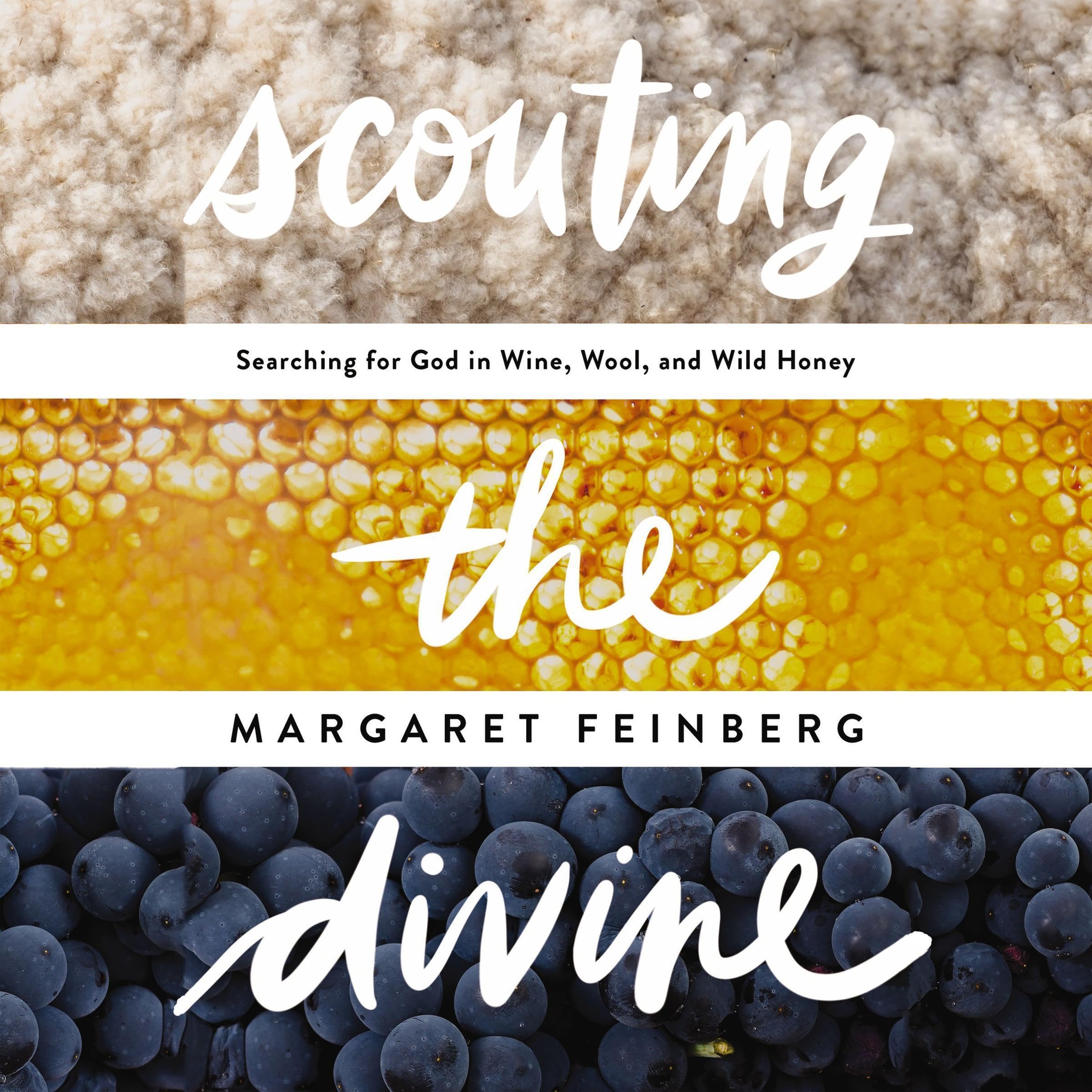Cover art for Scouting the Divine