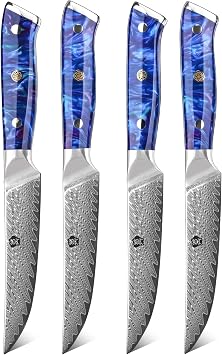 WILDMOK Steak Knife 13cm Non Serrated Steak Knife Set of 4 Japanese Damascus VG10 Steel Steak Knife Premium Steak Knife Set with Gift Box