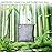 Activated Charcoal Odor Absorber, Odor Eliminator for Strong Odor,Bamboo Charcoal Air Purifying Bags for Home Car Closet Pet, Smoke Room Deodorizer (4 x 500g Large, Unscented)