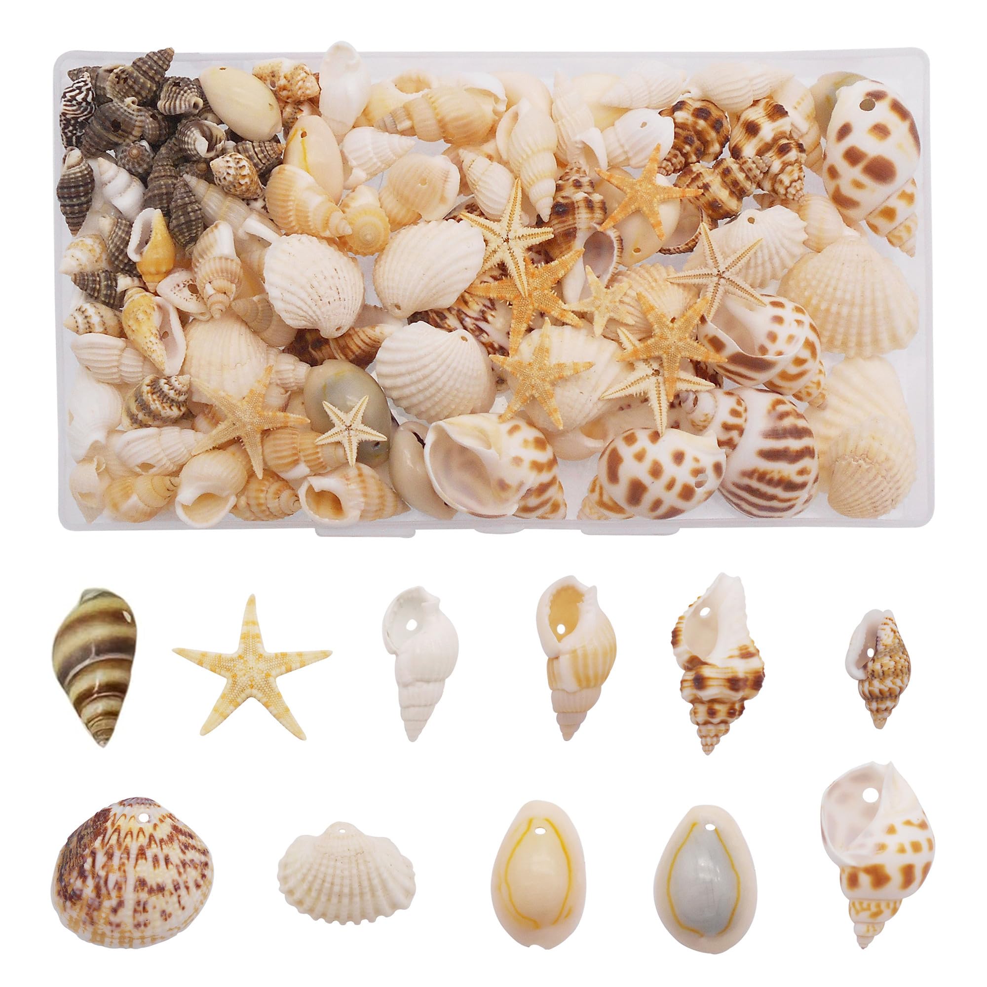 yaokan 130PCS/Box Mixed Lots Sea Shell Cowrie Conch Starfish Ocean Beach Spiral Seashell with Hole for Resin Craft Candle Making Wishing Bottle Wedding Home Fish Tank Decoration