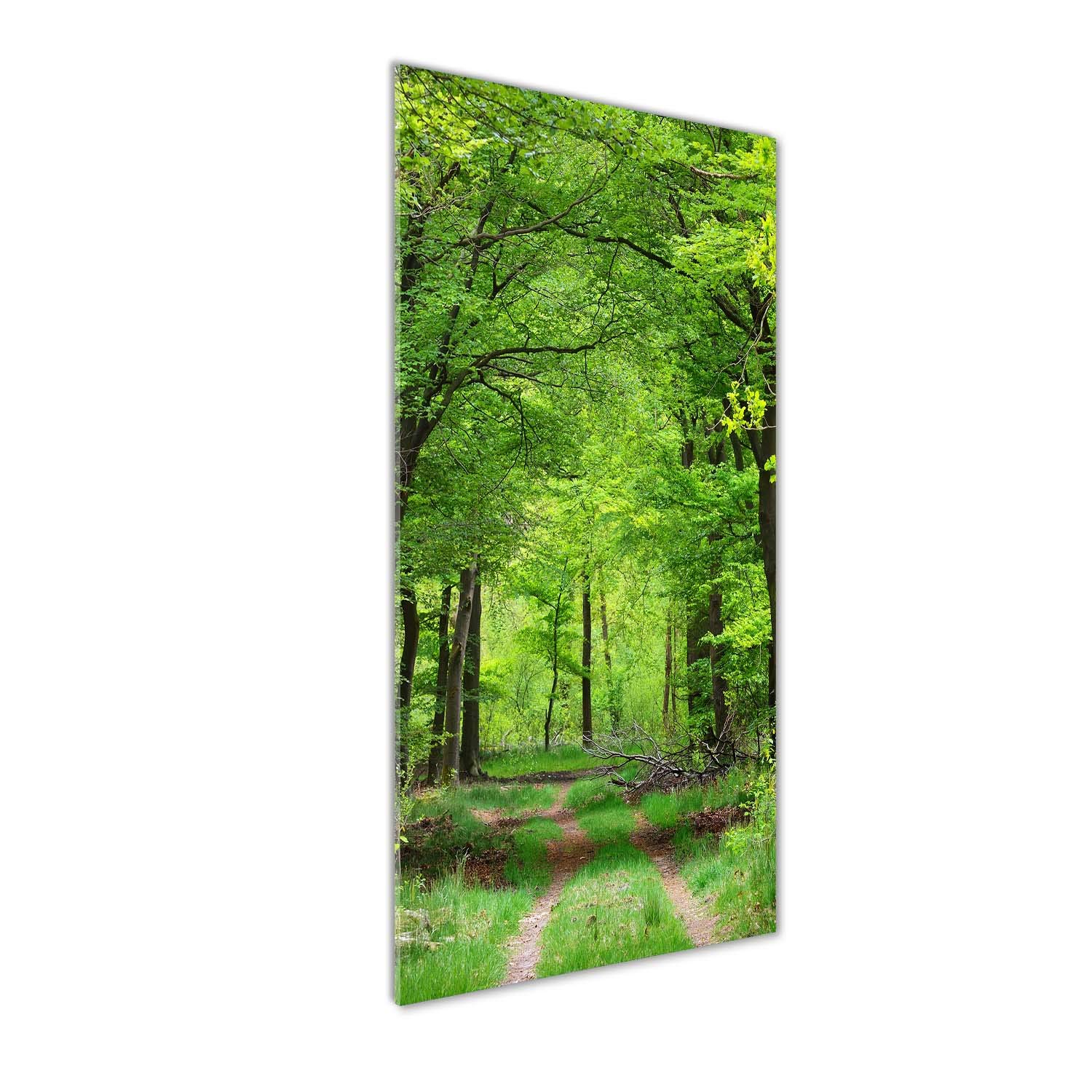Tableaux pour la mur Tulup : impression sur verre acrylique 50x125 cm forêt verte