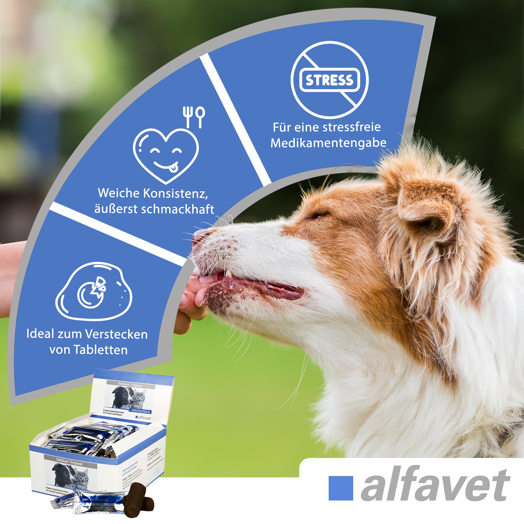 Alfavet FeliGum Trojaner, Box 30 x 10 g, Medikamentenversteck als Snack formbar, Ergänzungsfuttermittel für Hunde und Katzen