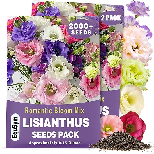 Más de 2000 semillas de Lisianthus para plantar - Paquete de 2 colores mixtos semillas perennes de Eustoma Grandiflorum para 2026, semillas de
